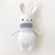Load image into Gallery viewer, Made to Order BUNNY wearing a Scarf crochet amigurumi